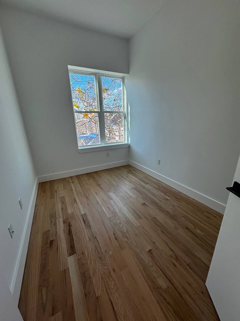Modern 2 Bedroom / 1 Bathroom in Flatbush