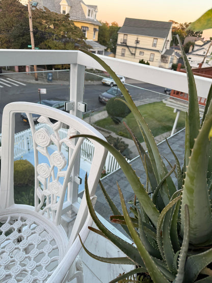 Room in the Bronx in a Private House – Close to Everything, with Access to Patio and Balcony