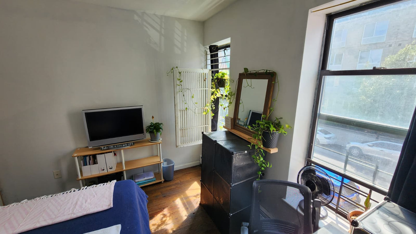 Large furnished room in the heart of Brooklyn. Access to several train lines.