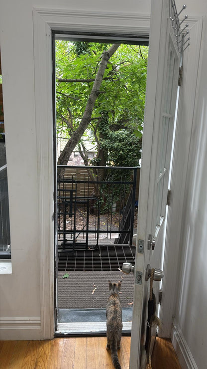 Habitación en Bushwick, Brooklyn – Amoblada y bien ubicada 🏡